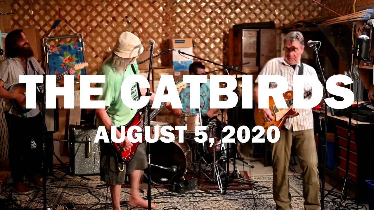 Catbirds on the Interwebs Chandler's World